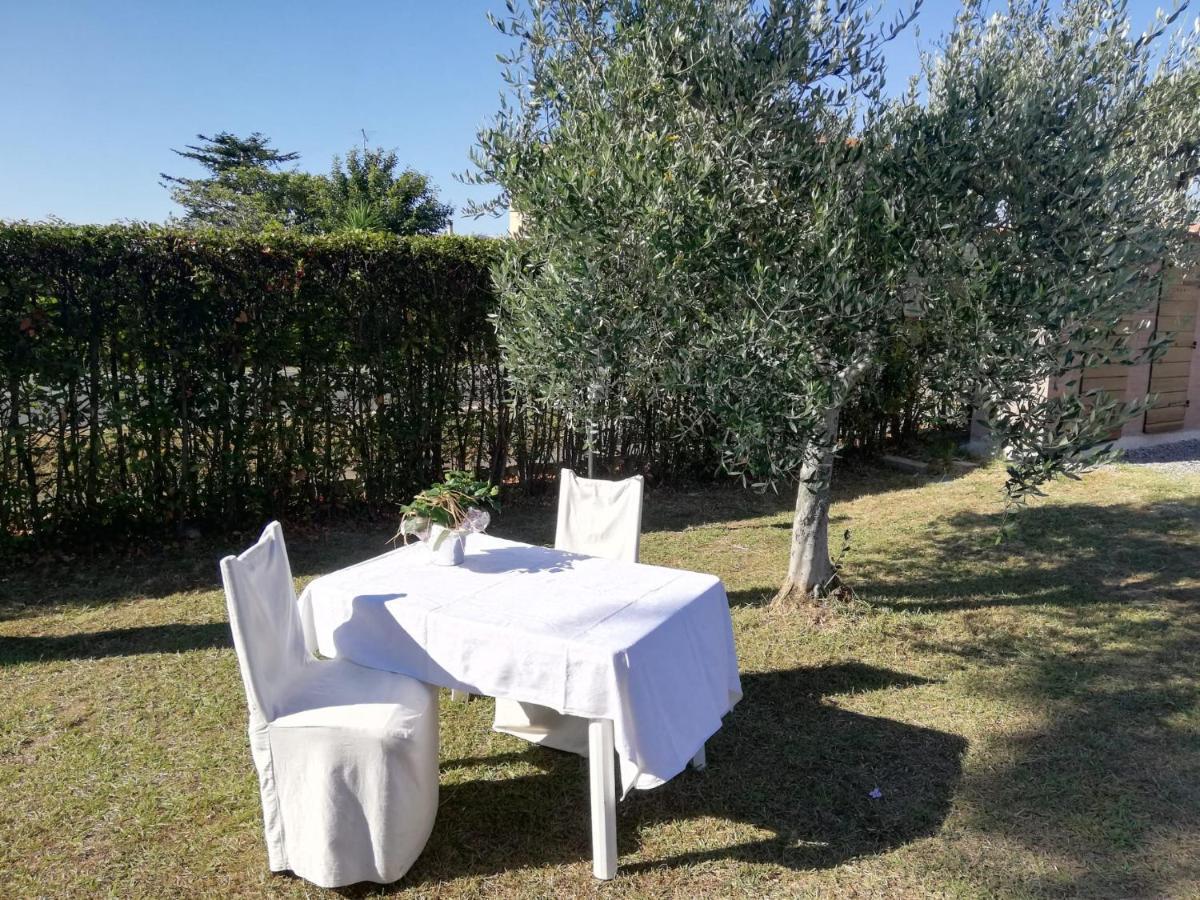 L'aia Degli Olivi Apartment