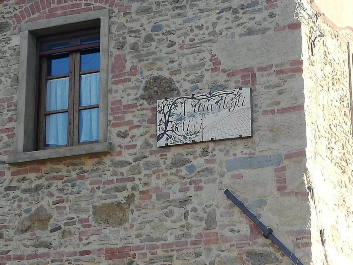 Apartment L'aia Degli Olivi