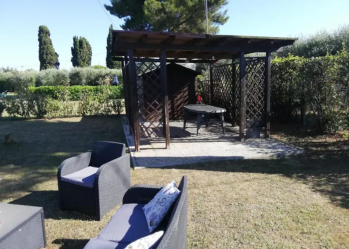 L\'Aia degli olivi