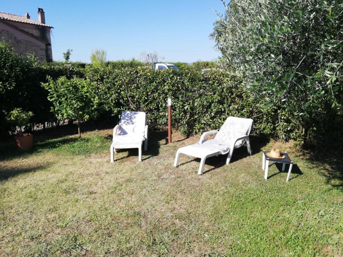 L'aia Degli Olivi *