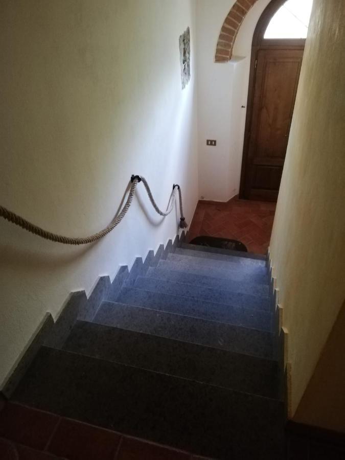 L'aia Degli Olivi
